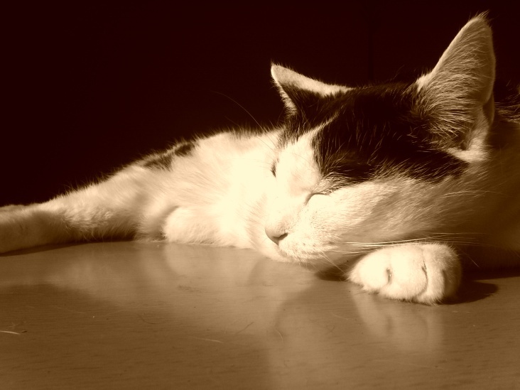 Bastet in Sepia No. 05