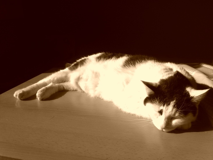 Bastet in Sepia No. 08