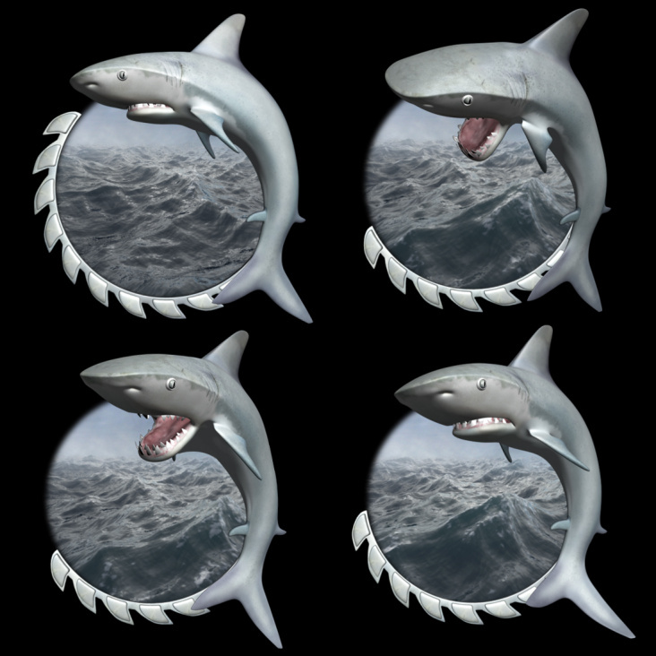 Shark_Small