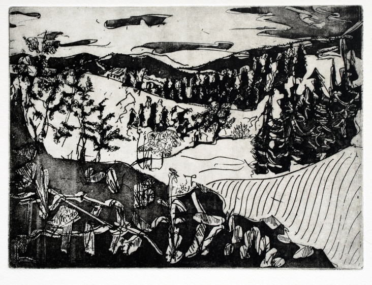 Landschaft I (Radierung und Aquatinta 20×15cm, 2011)