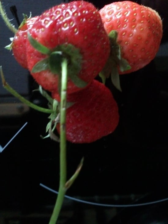 Erdbeeren 001