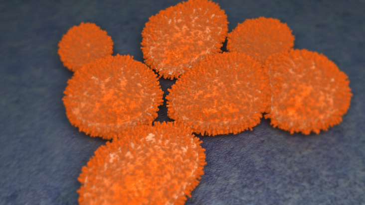 Virus Scheinegrippe H1N1