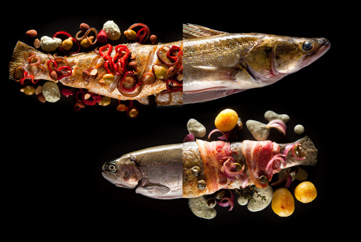 Ganzer Fisch: Zander und Forelle