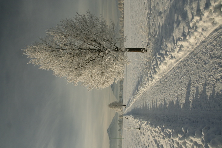 Winterwonderland Benediktbeuern während einer teilweisen Sonnenfinsternis