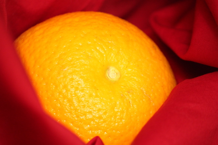 Food Photography 2012 Orange