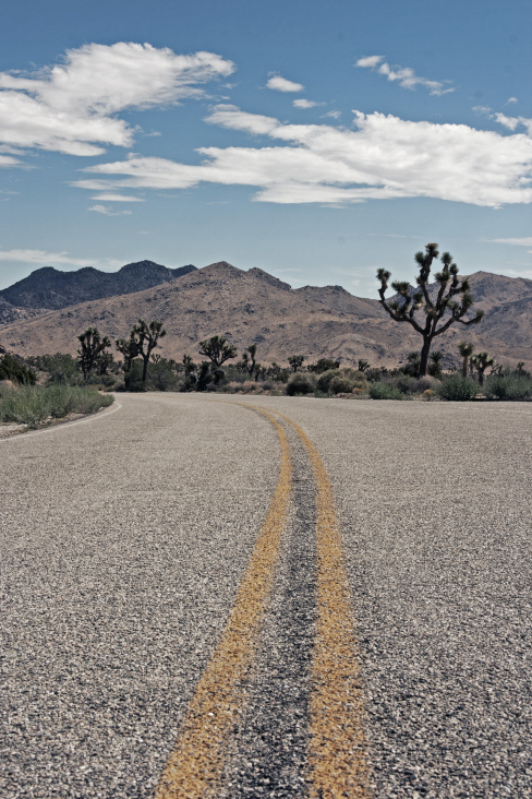 joshua tree park – californien