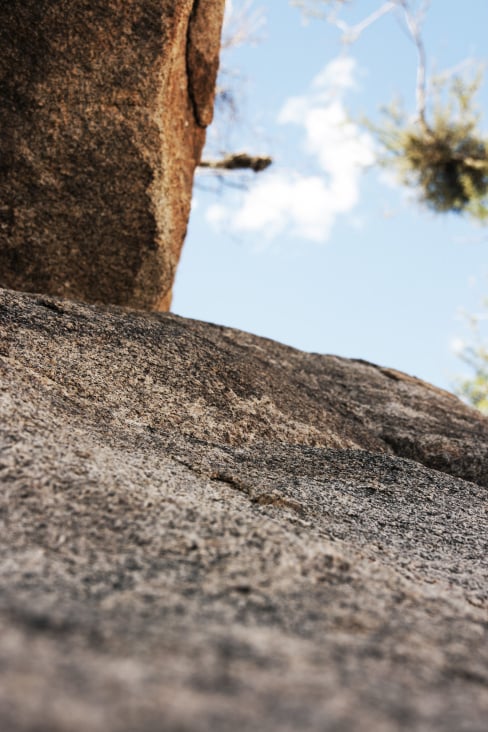 joshua tree park – californien