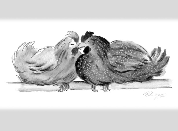 Hühnergeschichten: »Putti«