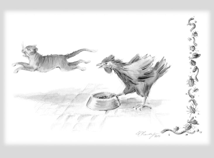 Hühnergeschichten: »Köstlichkeiten«