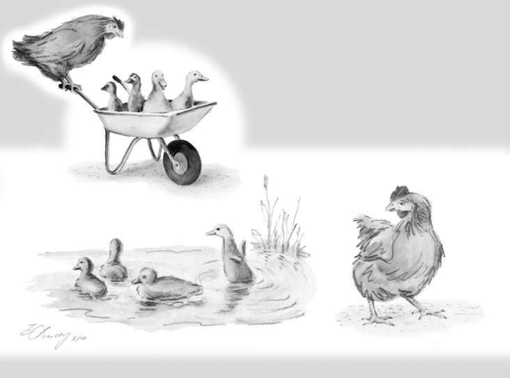 Hühnergeschichten: »Entengeschnatter«