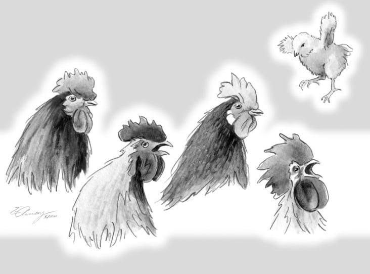 Hühnergeschichten: »Hahnenreigen«