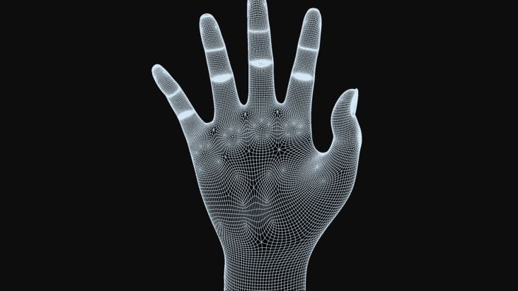 wireframe thick hand0045