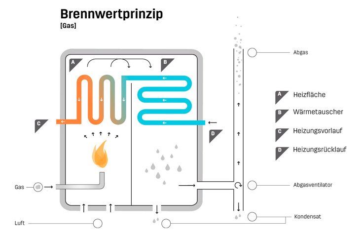 Ekozet – Infografik | Mit Friendship Berlin