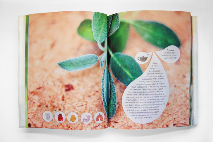 Buch/ Herbs in the city / Editorial