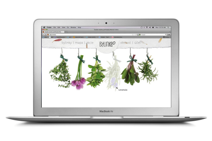 Web / Herbs in the city / Web Design