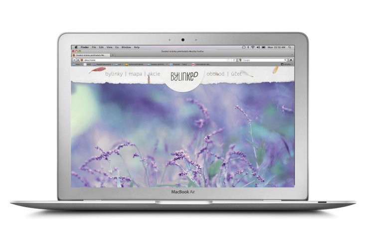 Web / Herbs in the city / Web Design