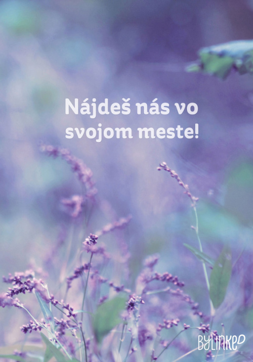 Plakat / Herbs in the city