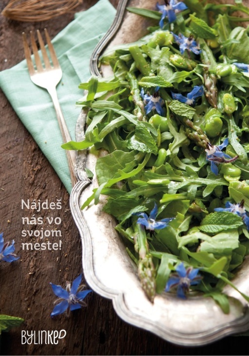 Plakat / Herbs in the city