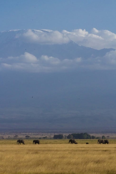 amboseli np22