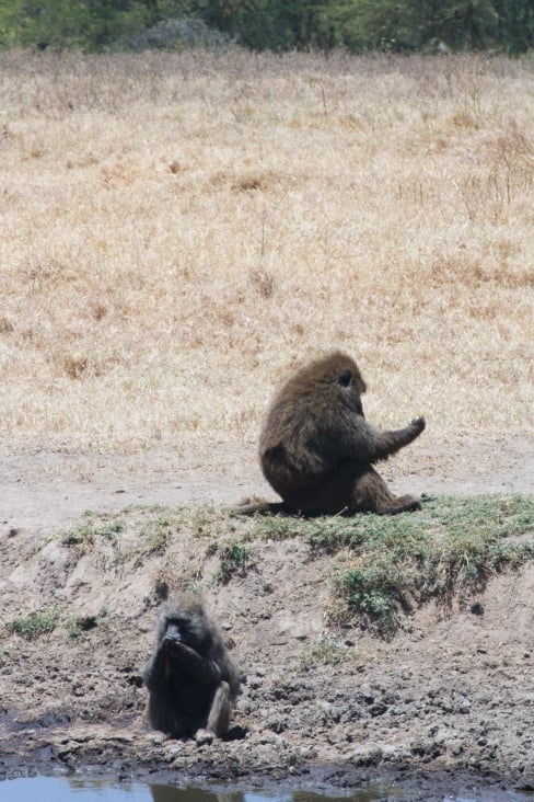 lake nakuru78