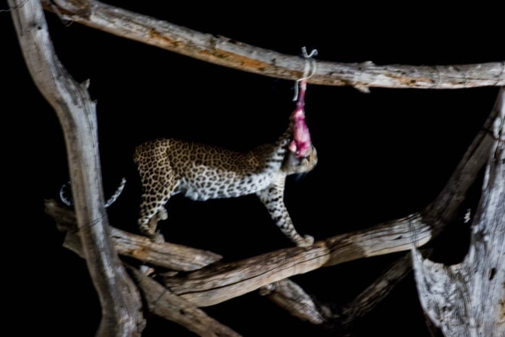 tsavo west lodge6