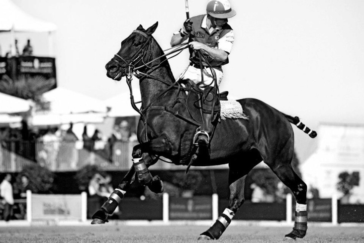 POLO_002