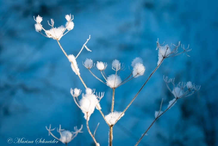 Winter 2012