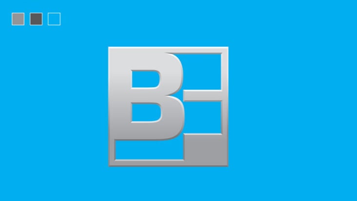 Logo / bergmann & franz