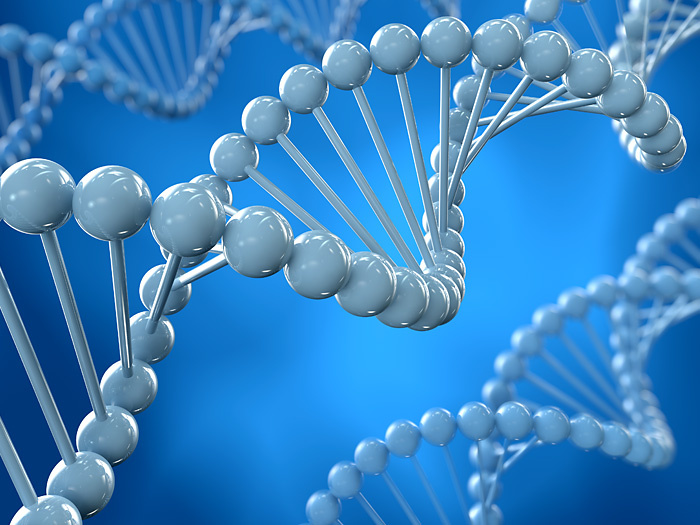DNA Moleküle: 3D-Illustration / 3D-Grafik – wissenschaftliche 3D-Visualisierung