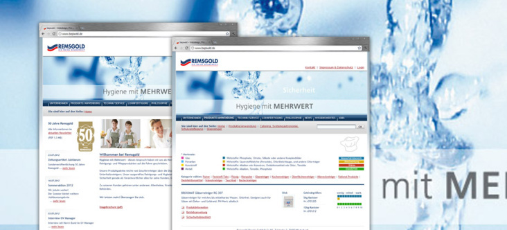 Remsgold Chemie GmbH & Co.KG:  Webseite  Konzeption, Layout, Programmierung, Webhosting