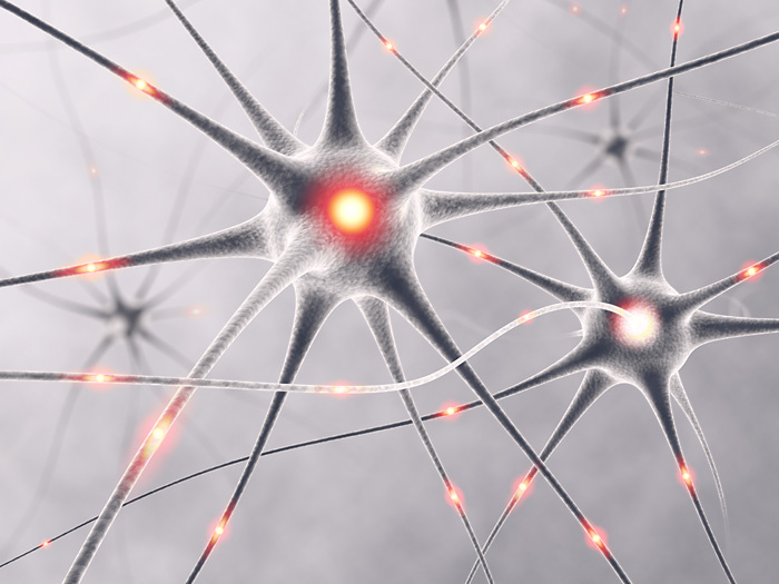 Neuronen, Nervenzelle: Medizinische und wissenschaftliche 3D-Visualisierungen / 3D-Illustrationen