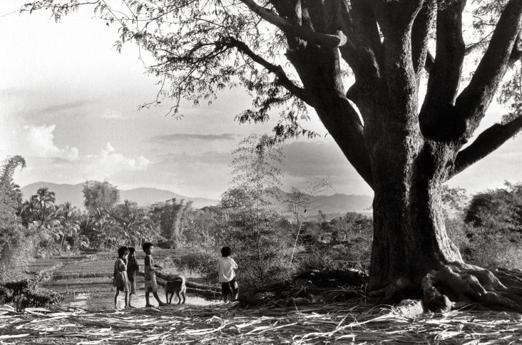 Children at the Big Tree – Kontum Village – Central Highland – Vietnam