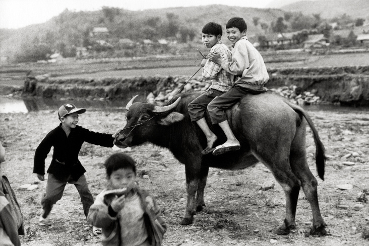 Buffalo Riding – Tuan Giao – Northwest Vietnam