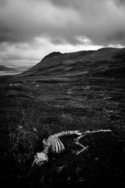 Westfjords, Island