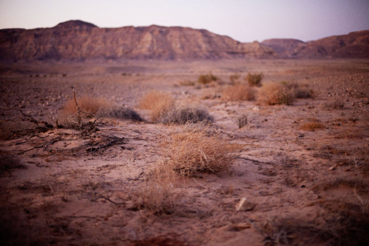 Negev Desert, Israel