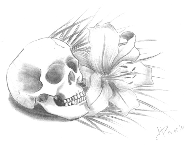 Skull