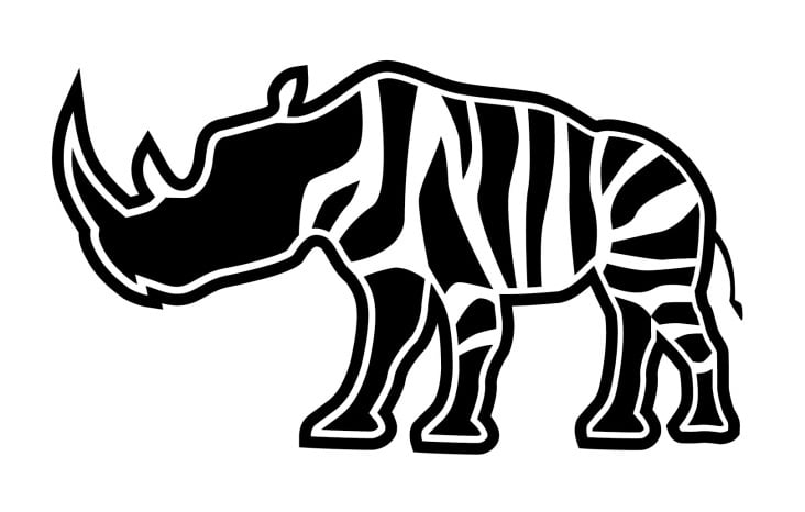 Rhinozebra