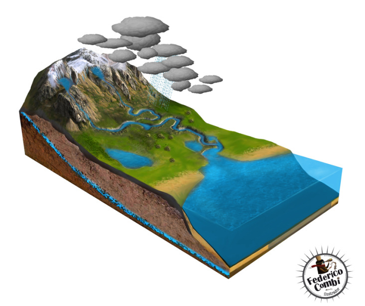 Water Cycle —Serie GPS Ciencias Naturales (Editorial Grupo Macmillan – Argentina 2013)