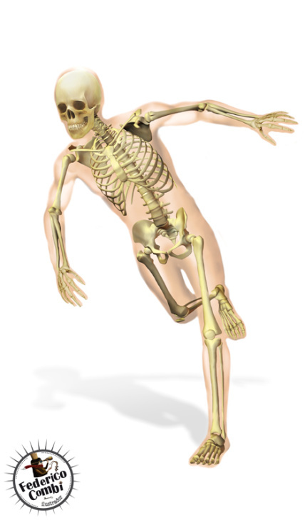 Skeleton—Serie GPS Ciencias Naturales (Editorial Grupo Macmillan – Argentina 2013)
