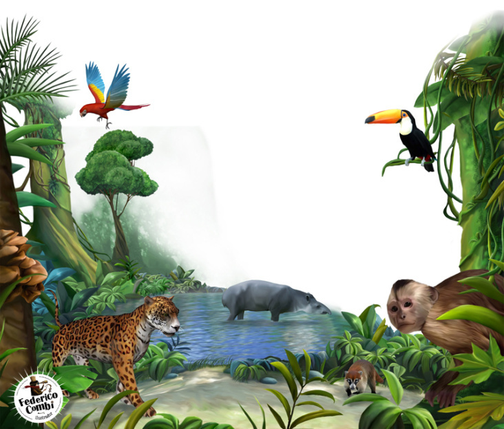 jungle—Serie GPS Ciencias Naturales (Editorial Grupo Macmillan – Argentina 2013)