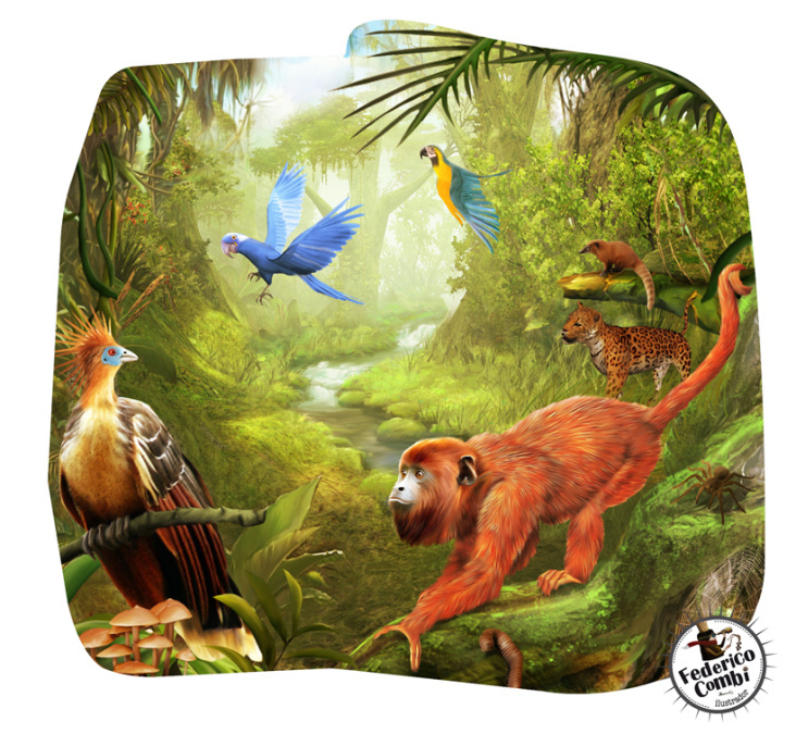 Jungle 2—Serie GPS Ciencias Naturales (Editorial Grupo Macmillan – Argentina 2013)