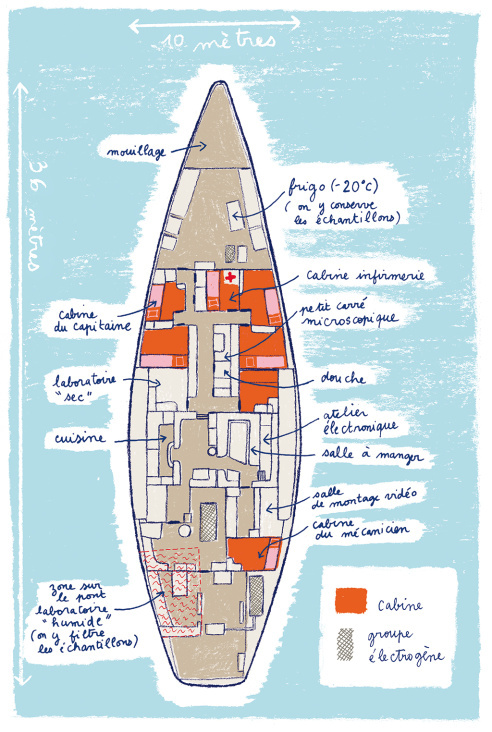 Plan du bateau Tara