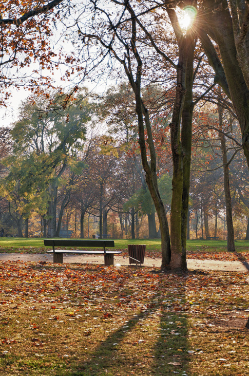 HDR Mainz Volkspark