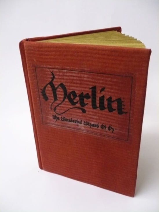 Merlin Buch 1