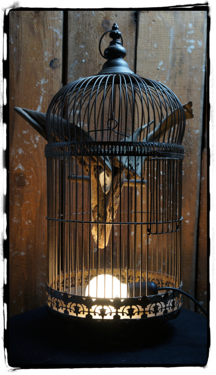 Tschleuchte Cage d´amour