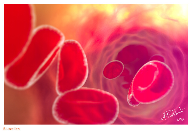 Blutzellen Artwork