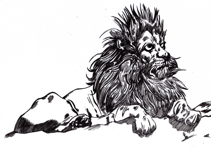 Lion