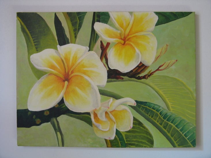 Frangipani