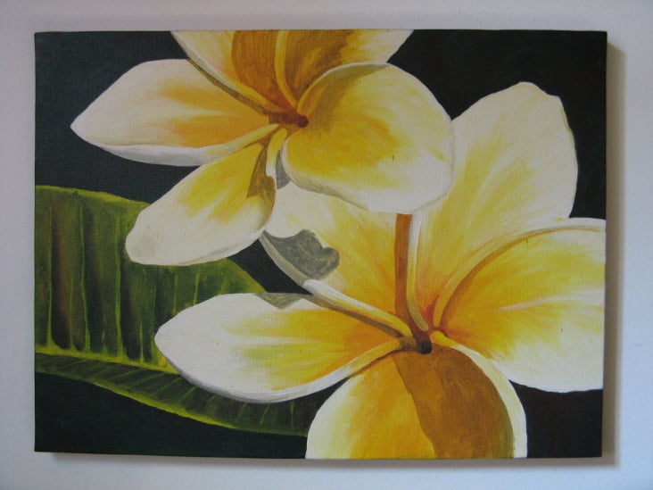 Frangipani