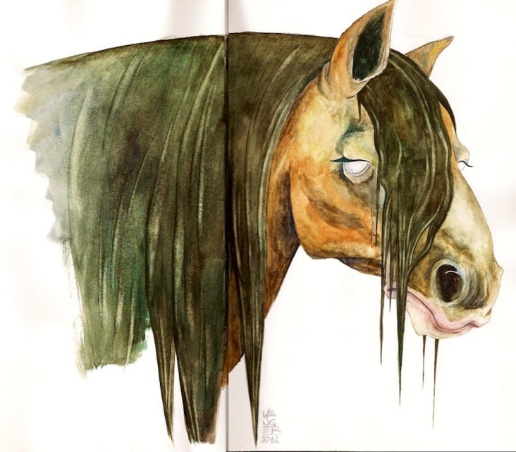 Horse Watercolour 72dpi